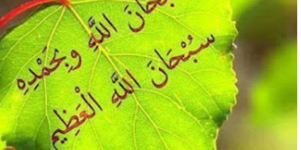 ام محمدالصالح banner