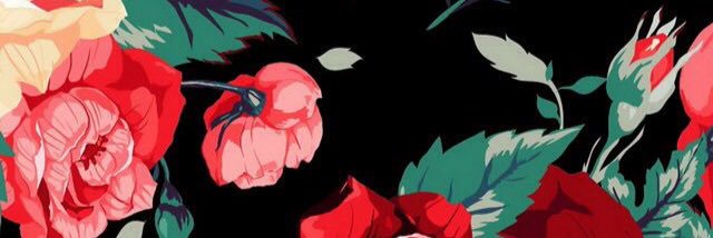 annuhh's profile banner image