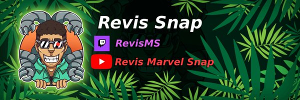 RevisSnap Profile Banner
