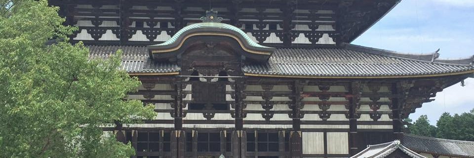 greykitsune's profile banner image