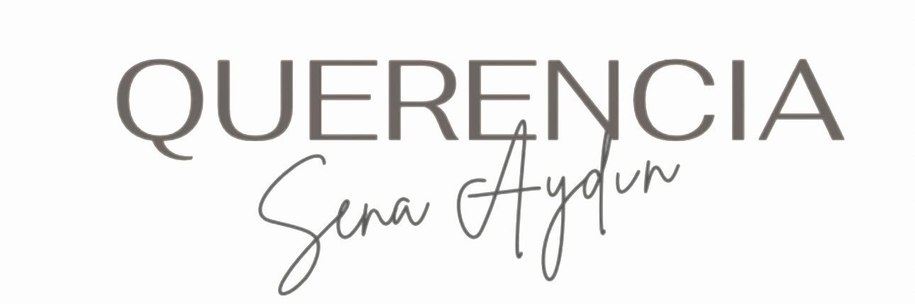 senaaydini's profile banner image