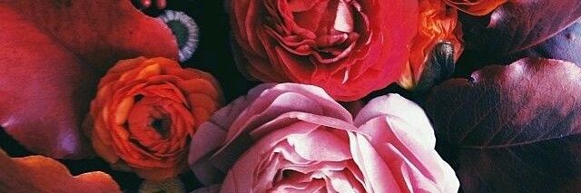 ValleryHorton's profile banner image