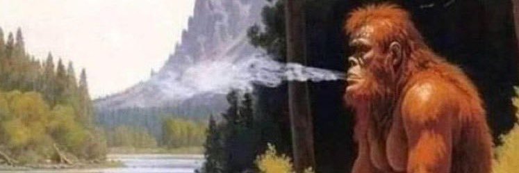 Aegon Weasley banner