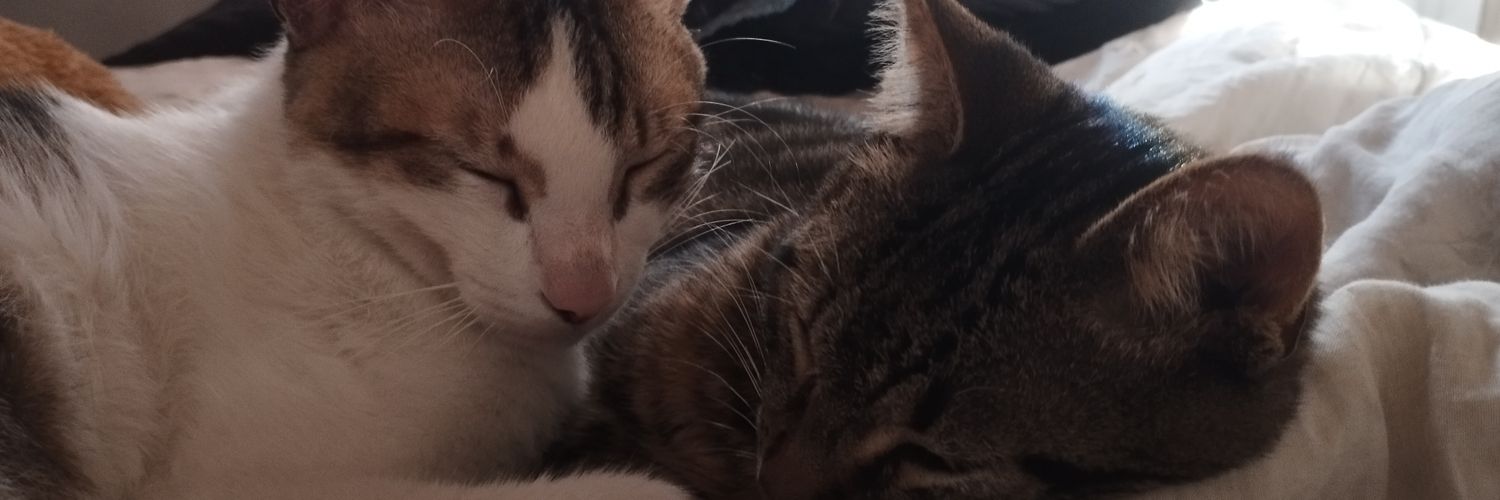 agusschnapp1's profile banner image