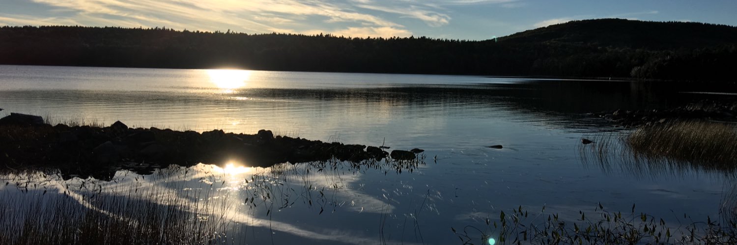 Mehran Mostafavifar banner