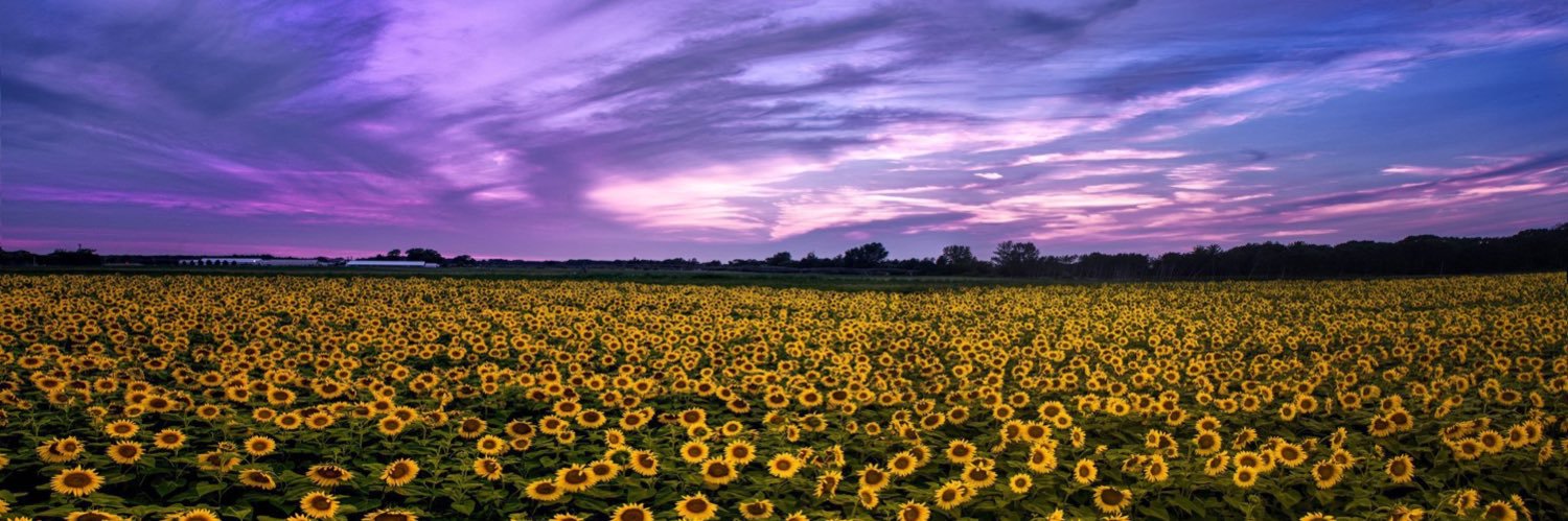 DelaneyDaisy's profile banner image