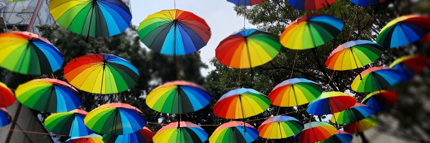 Céline FA González Schont banner