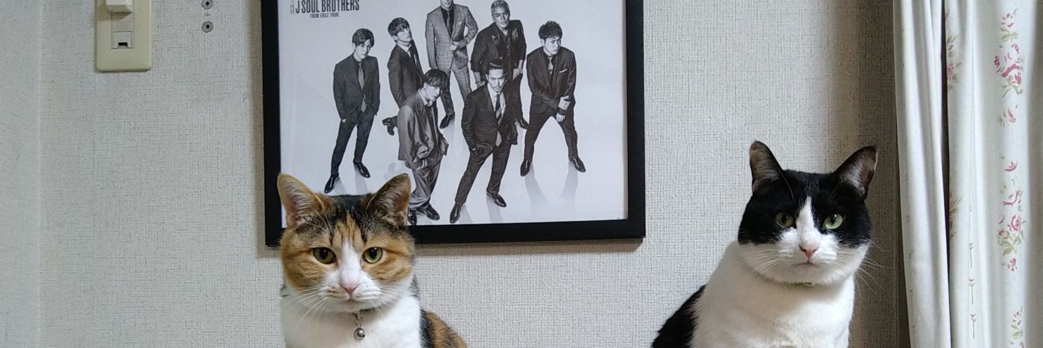 yoshimicmo's profile banner image