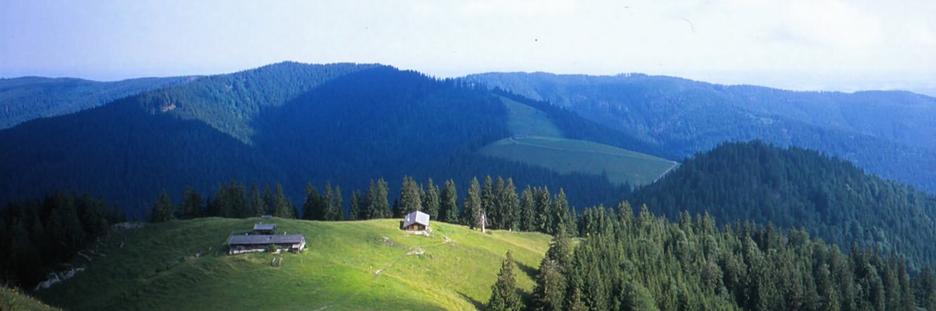 Daniel Stächelin banner