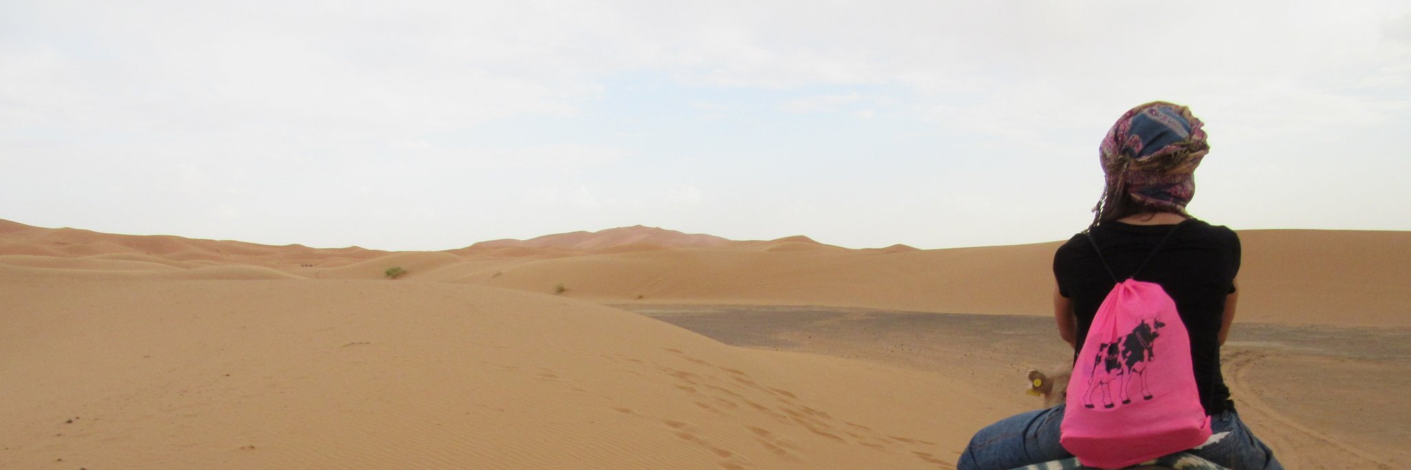 PilarRHabela's profile banner image