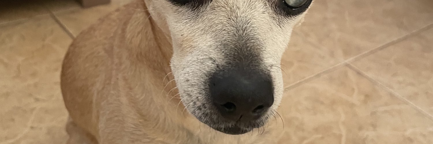 HelloCris99's profile banner image