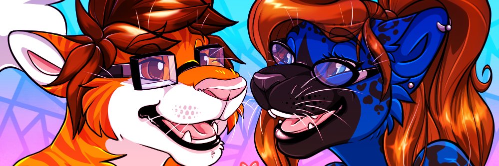 Some orange cat banner