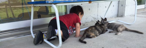 RuoTarn Profile Banner