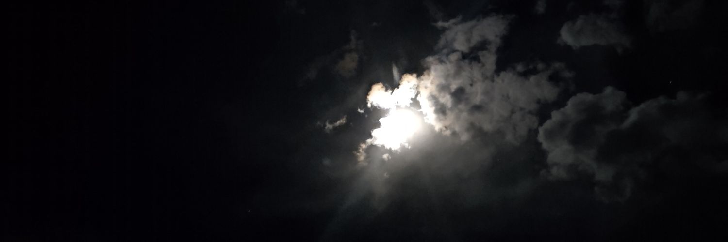 sapperslover's profile banner image