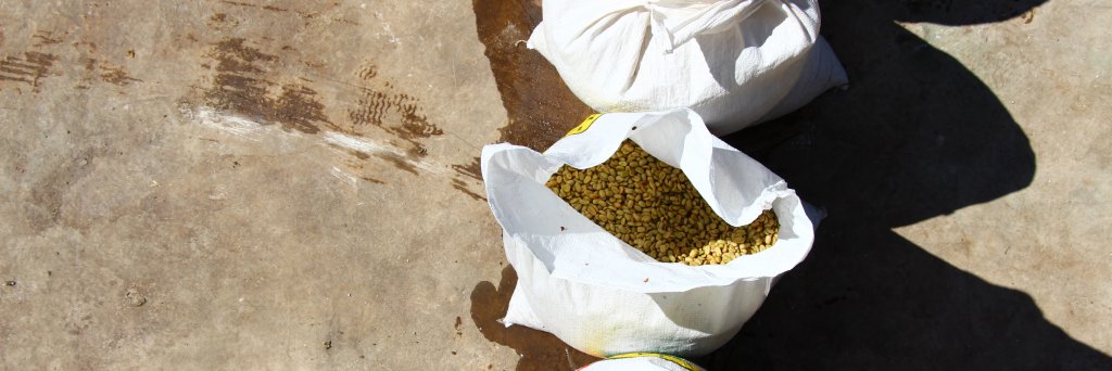 GolpieCoffee's profile banner image