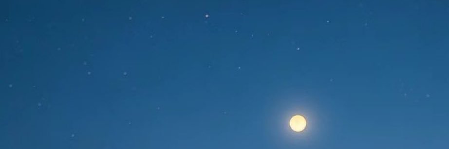 :* Last Girls*: banner