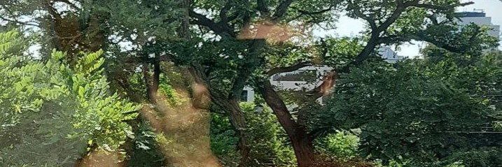دپ‌امین banner