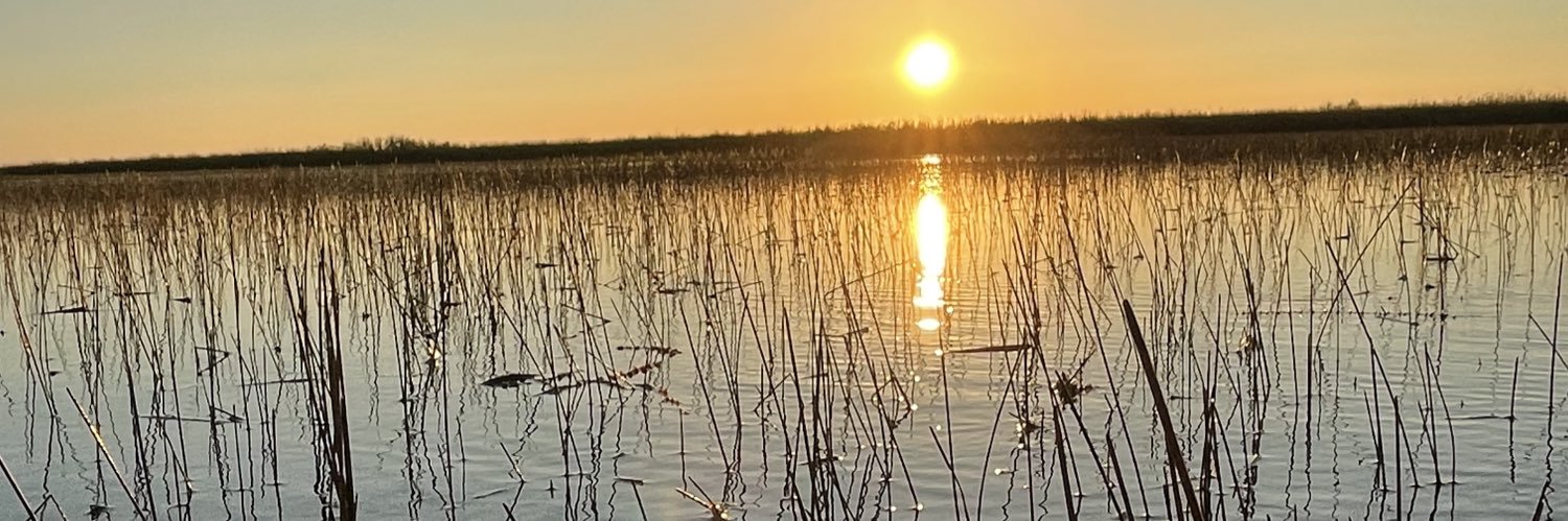 Downtown McKown banner
