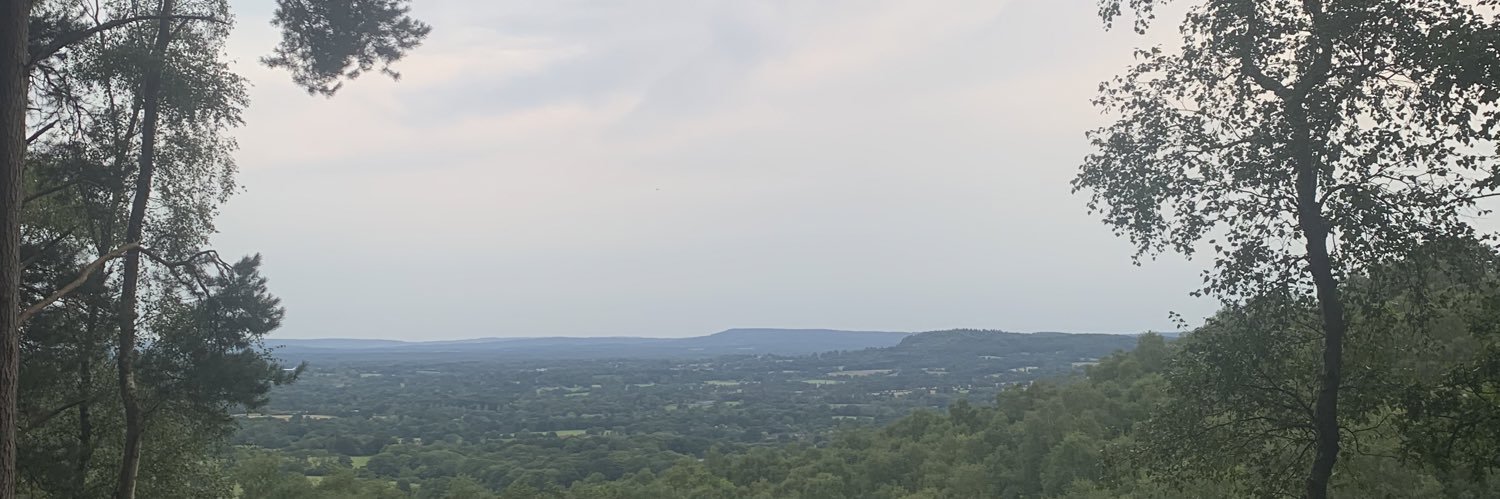 DominicaHurlock's profile banner image