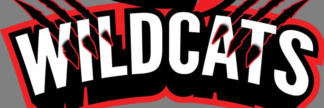 Wildcats Elite Basketball Program's banner