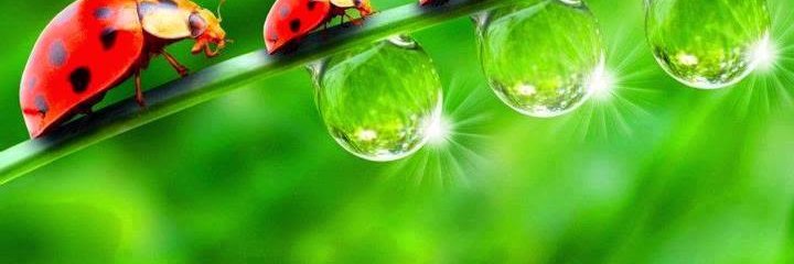 engin61's profile banner image