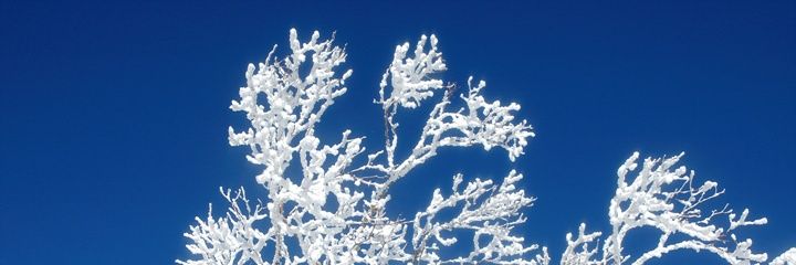 이 시국에 놀랍게도 맨정신 banner