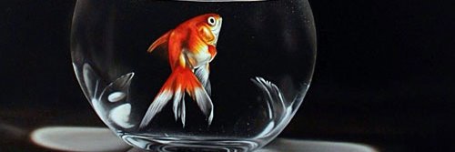 Roberto Rodríguez Gómez banner