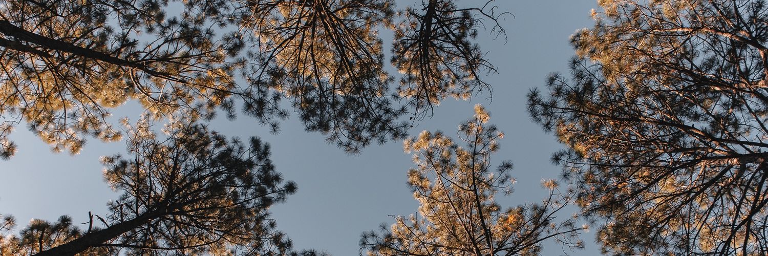 meelmdg's profile banner image