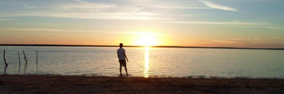 dannyelsavedra's profile banner image