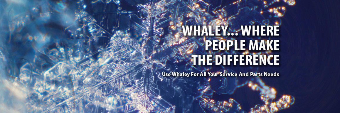 WhaleyFoodsvc's profile banner image