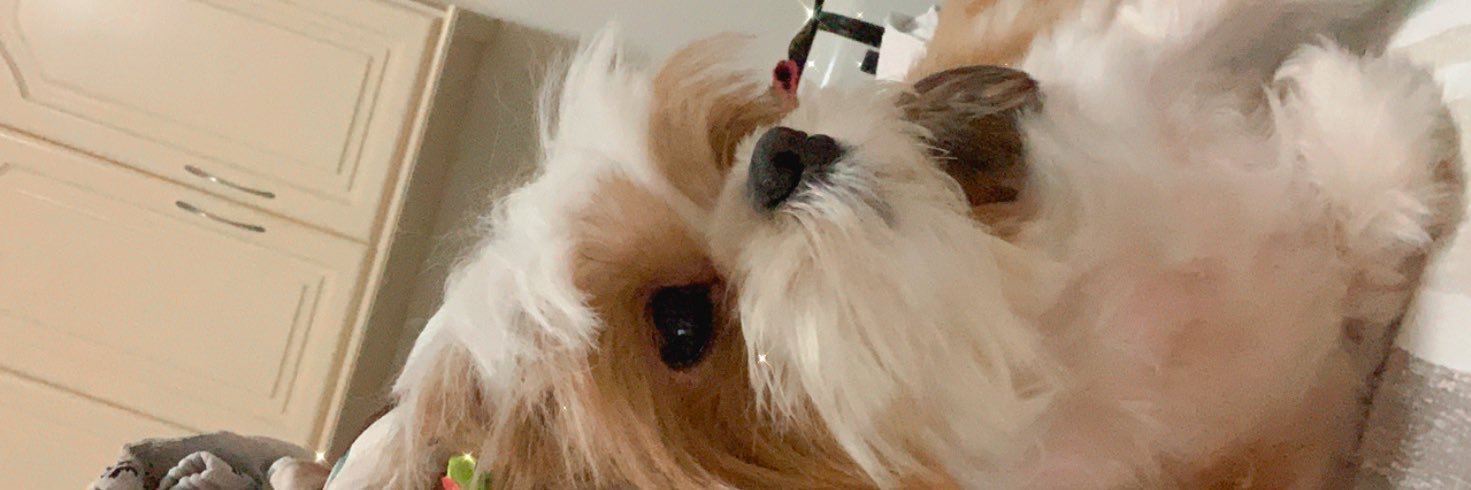juliaamanzi's profile banner image