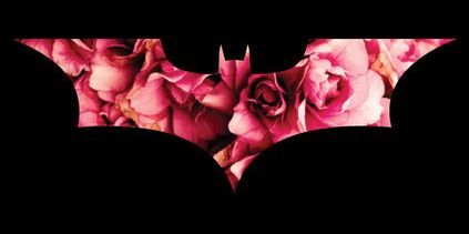 Marjolein_K's profile banner image