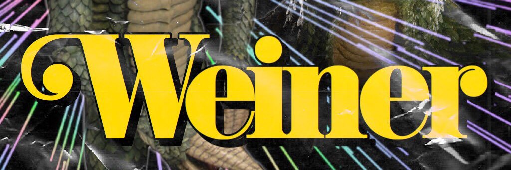 Teenage Stepdad's banner