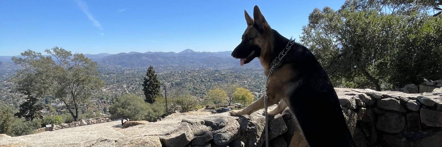 Lauregasm's profile banner image
