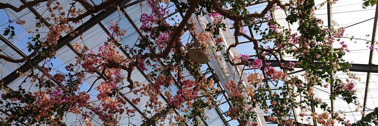 tana_sub2's profile banner image