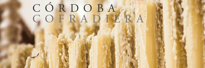 CoCofradiera's profile banner image