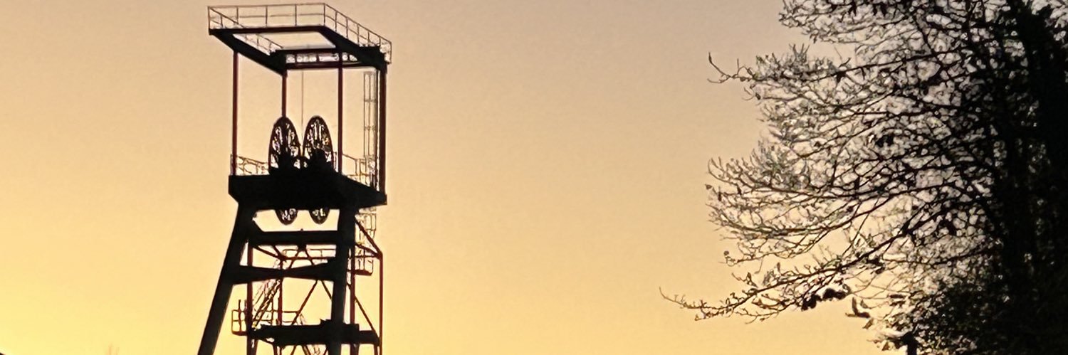 Juan Sutil Salas banner