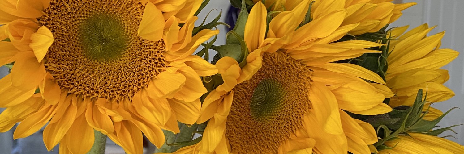 Nicole Oliver banner