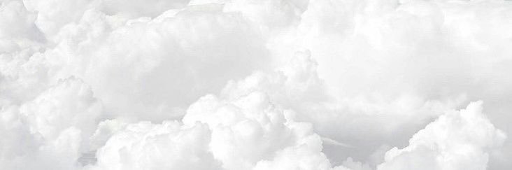 M’ 🌷 banner