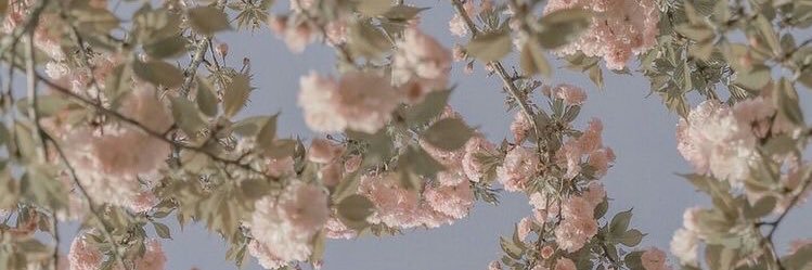 _Eaz96's profile banner image