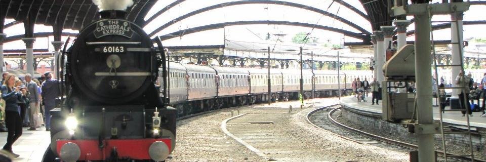 Simone Wilson banner