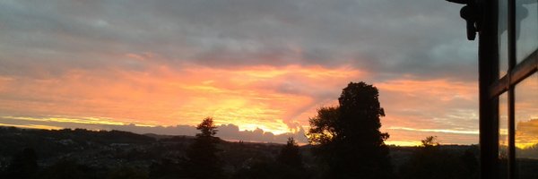 DrNatLawrence Profile Banner