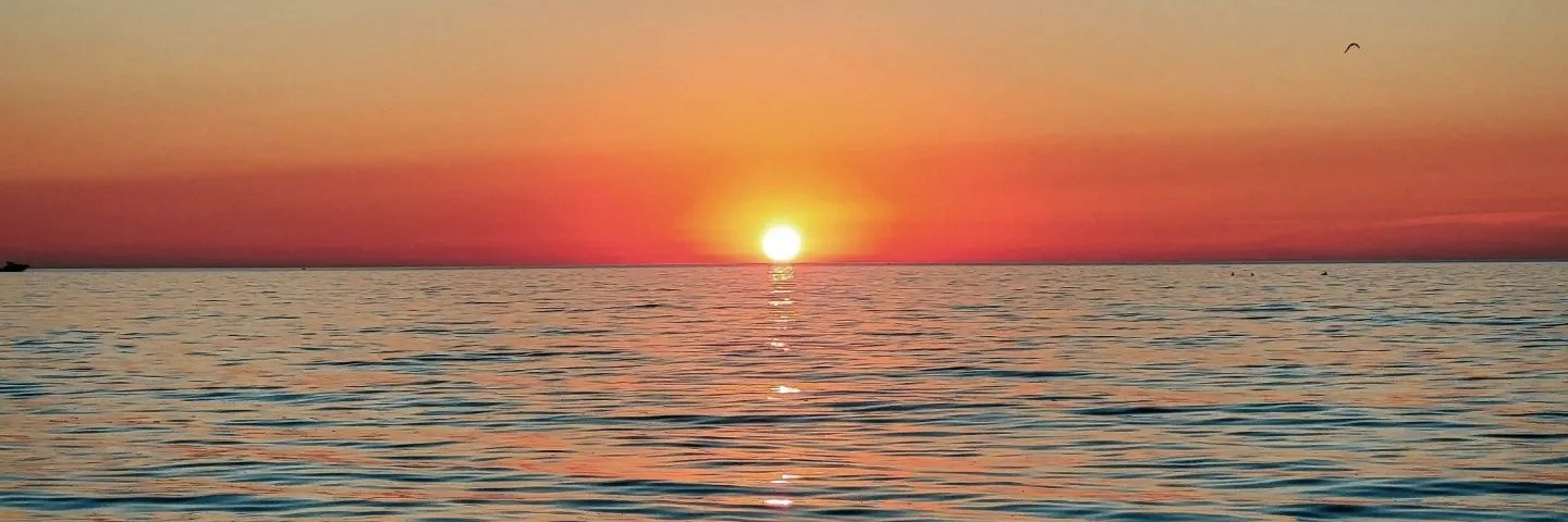 Princess_JCE's profile banner image