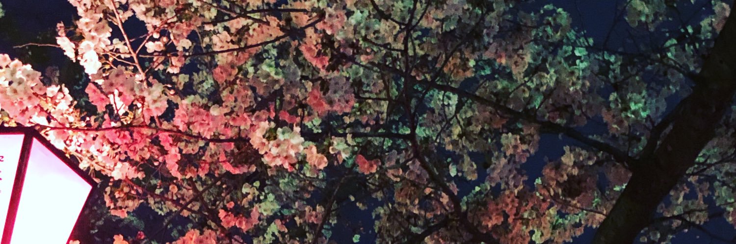 SxxuxA's profile banner image
