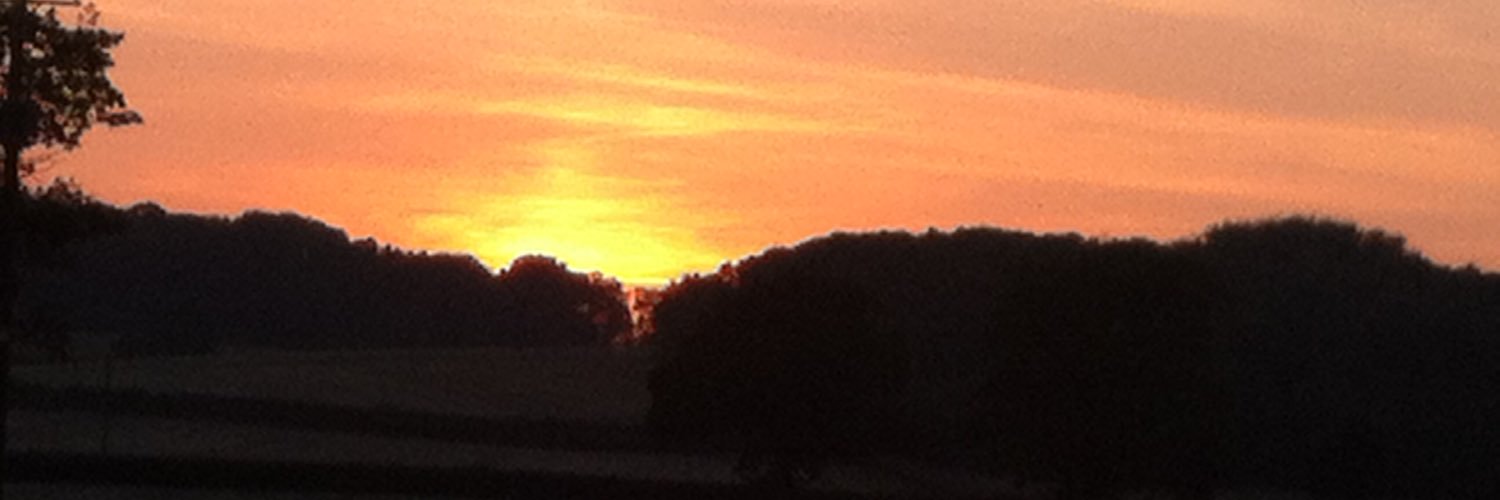 Bethany Griffiths banner