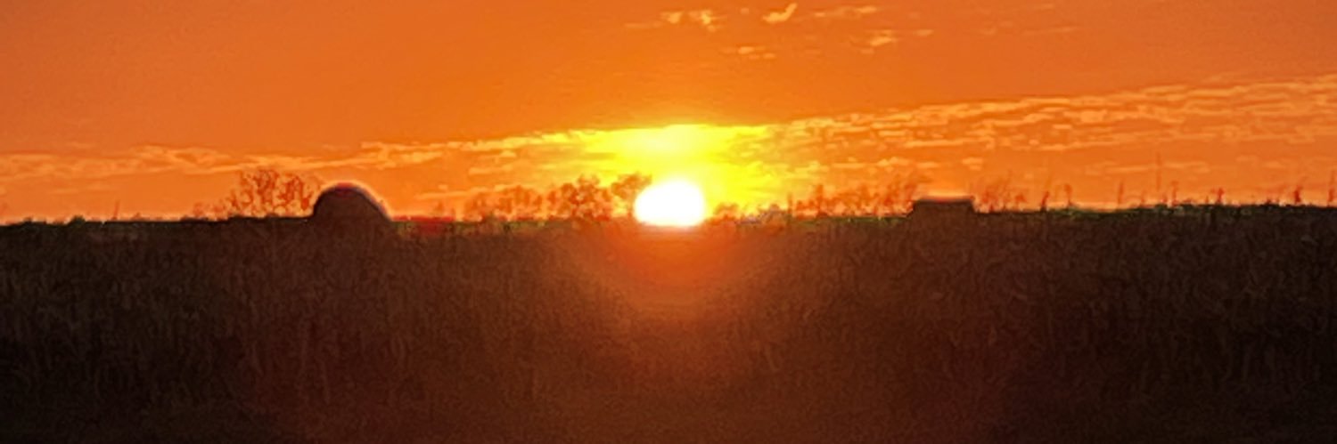 Papa Dino's banner