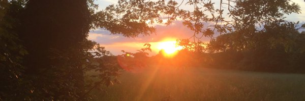 WoolhouseOliver Profile Banner