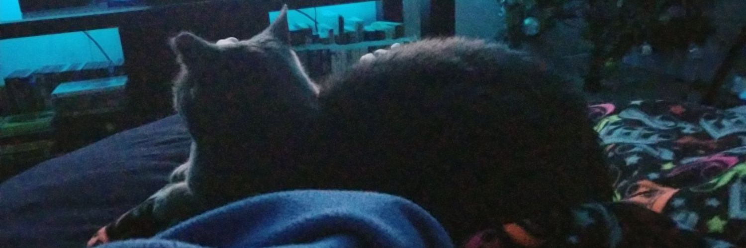 AyYoRenae's profile banner image