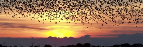 Dennisconner17 Profile Banner