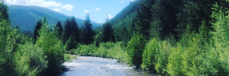MidwestBelle_'s profile banner image